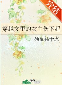 穿越文裏的女主傷不起