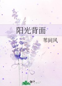 阳光背面
